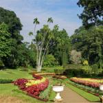 Экскурсии по Шри Ланке - Ботанический сад