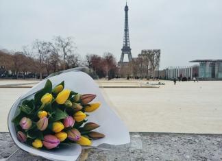 Париж самостоятельно отзыв туриста о франции Париж самостоятельно советы бывалых