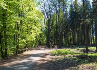 Национальный парк чешский рай Скалы заповедника Чешский рай